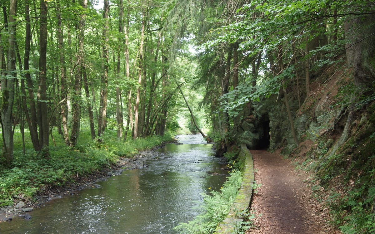 Harzer Landschaft für Klosterwanderweg und Selketalstieg